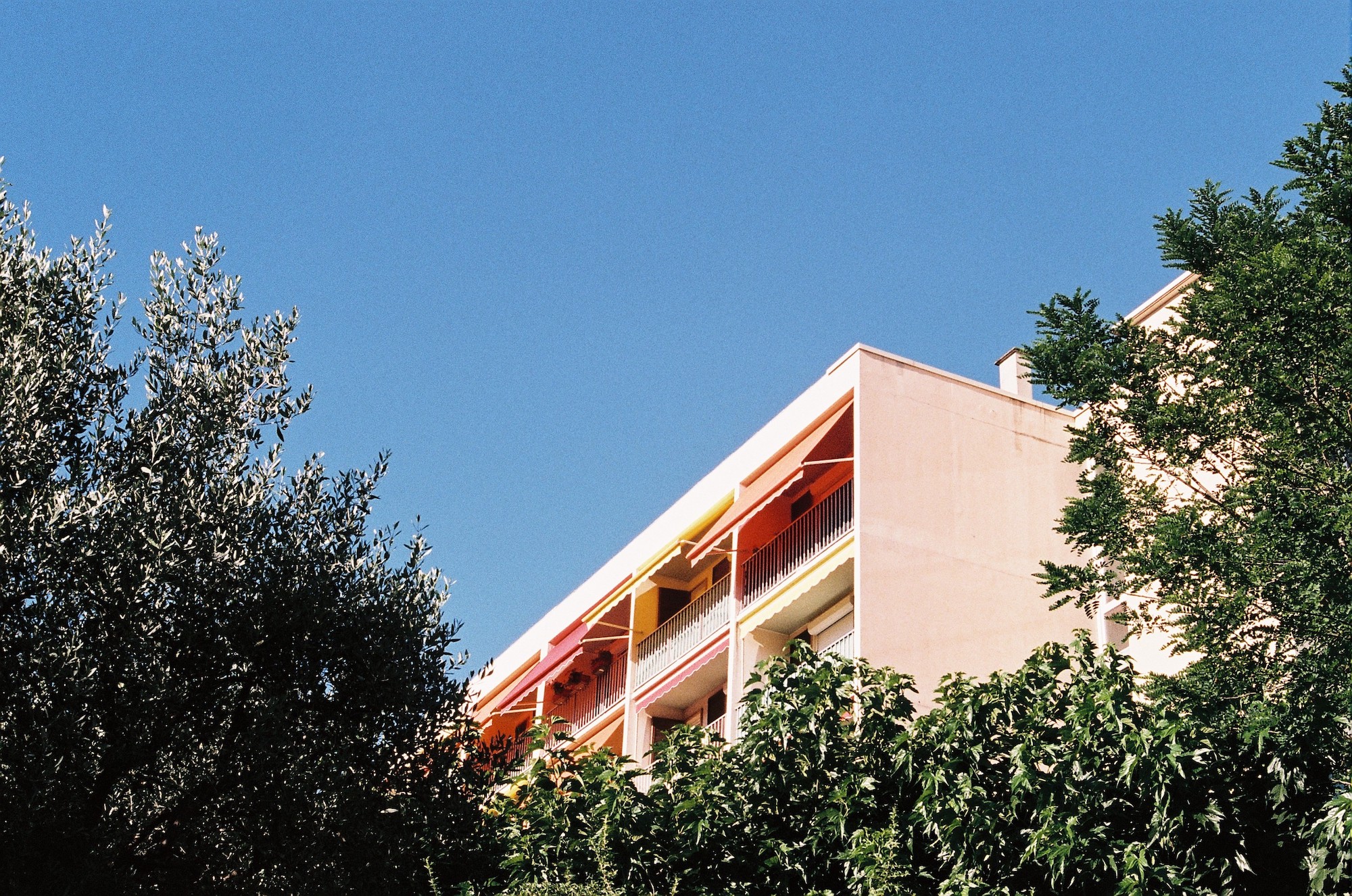 Nicolas Dumoulin - Photo couleur Drôme bâtiment Arbre