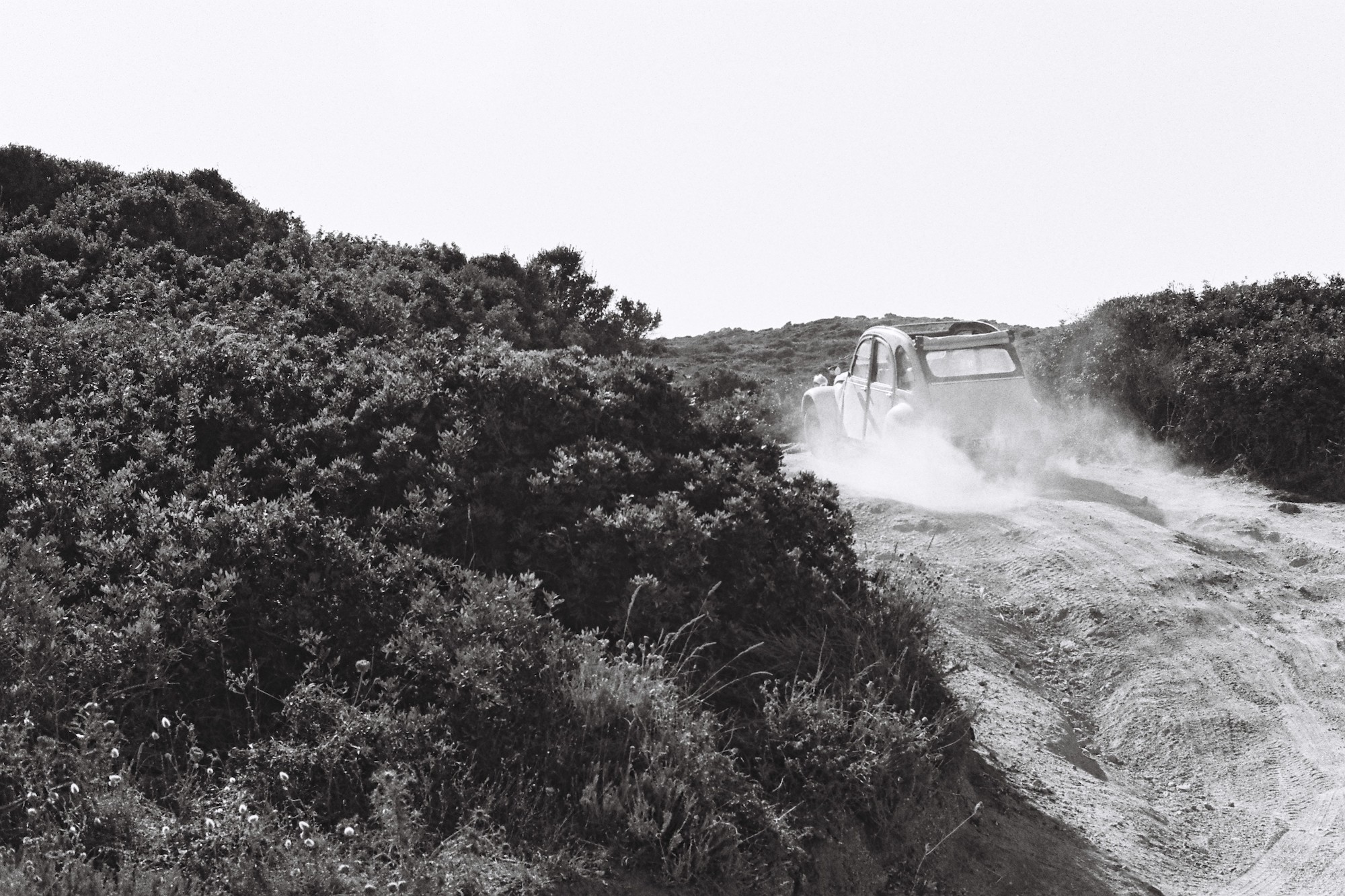 Paysages noir et blanc